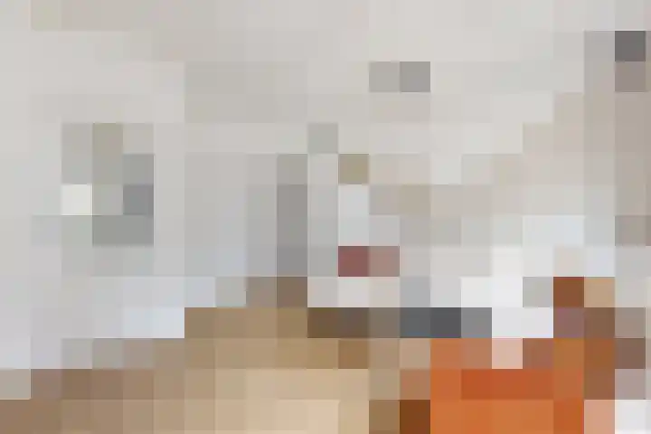 Molenstraat 75 Fijnaart thumbnail 14