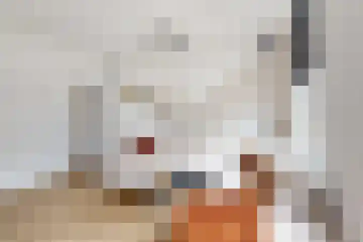 Molenstraat 75 Fijnaart thumbnail 15