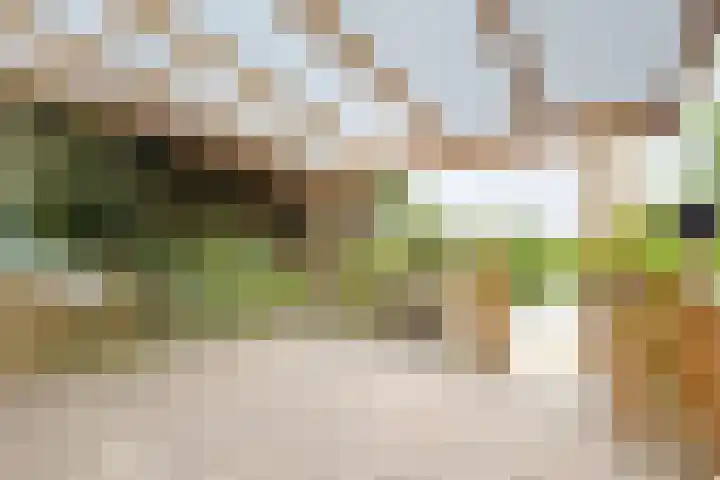 Molenstraat 75 Fijnaart thumbnail 27