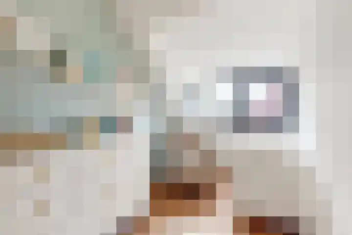 Molenstraat 75 Fijnaart thumbnail 39