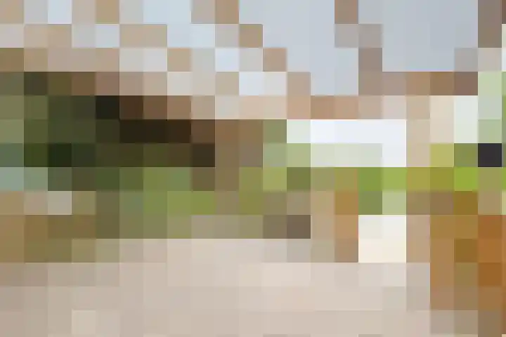 Molenstraat 75 Fijnaart thumbnail 4