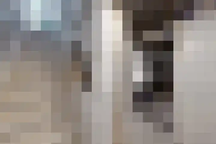 Molenstraat 75 Fijnaart thumbnail 44
