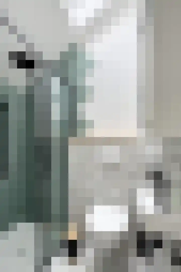 Molenstraat 75 Fijnaart thumbnail 5