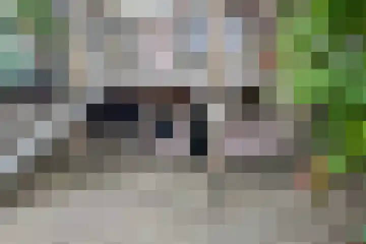 Molenstraat 75 Fijnaart thumbnail 52