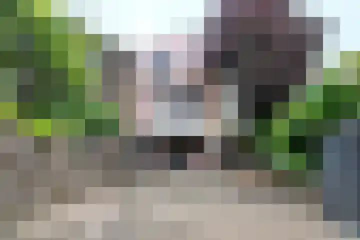 Molenstraat 75 Fijnaart thumbnail 55