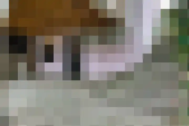 Molenstraat 75 Fijnaart thumbnail 59