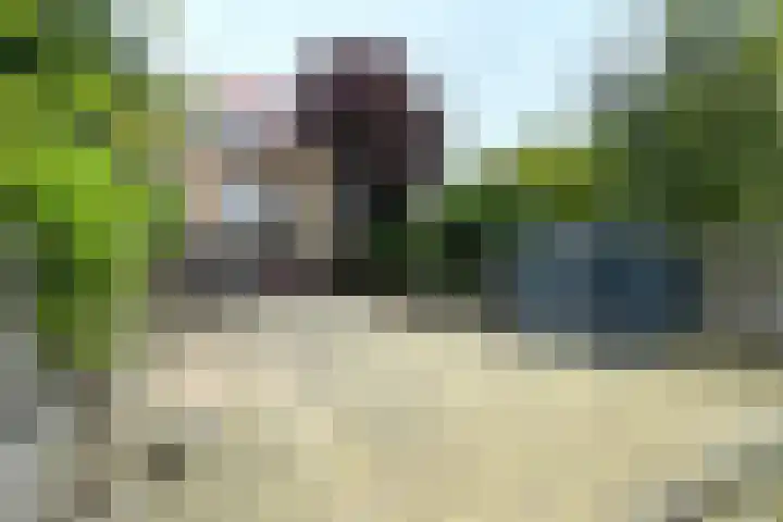 Molenstraat 75 Fijnaart thumbnail 6