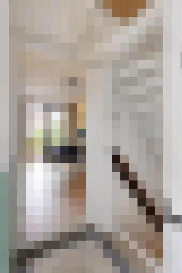 Molenstraat 75 Fijnaart thumbnail 8