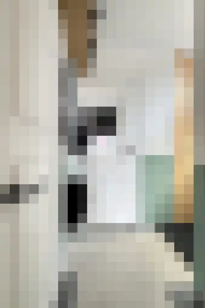 Molenstraat 75 Fijnaart thumbnail 9