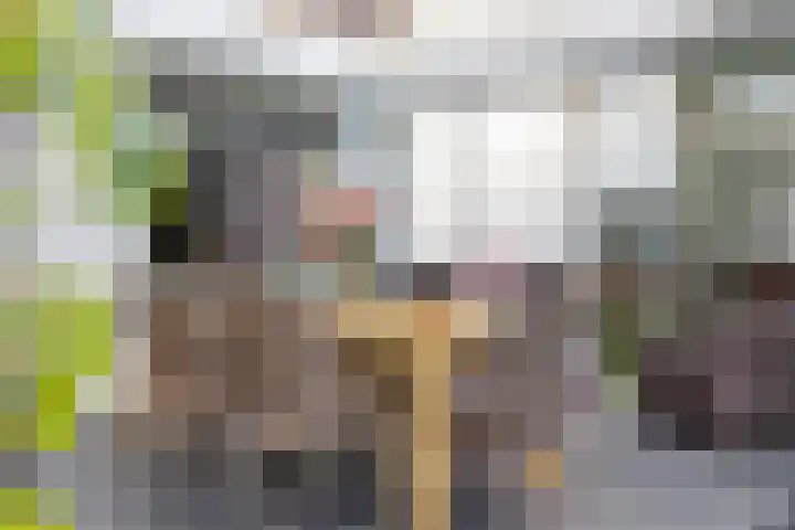 Molenstraat 75 Meijel thumbnail 32