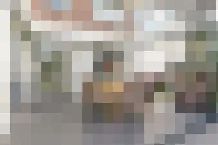 Molenstraat 75 Meijel thumbnail 33
