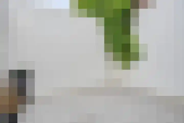 Molenstraat 76 Oss thumbnail 17