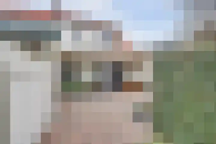 Molenstraat 77 Monster thumbnail 32