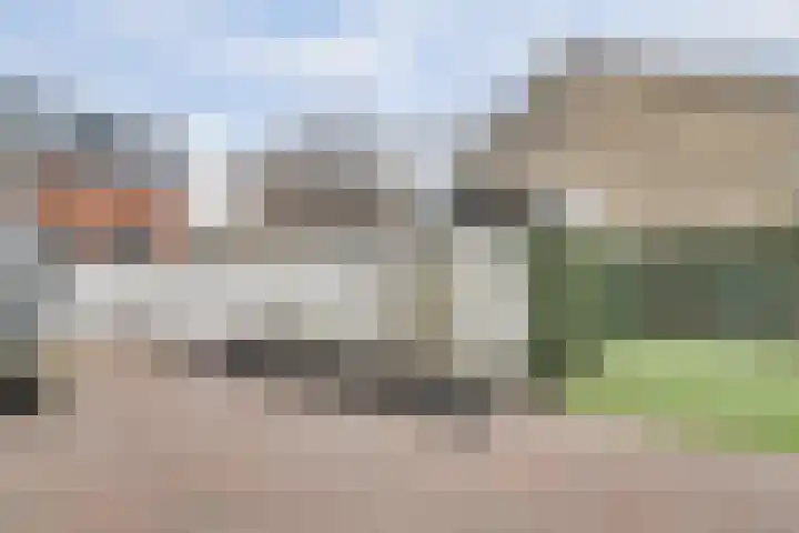 Molenstraat 77 Monster thumbnail 36