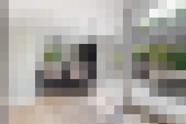 Molenstraat 77 Monster thumbnail 5