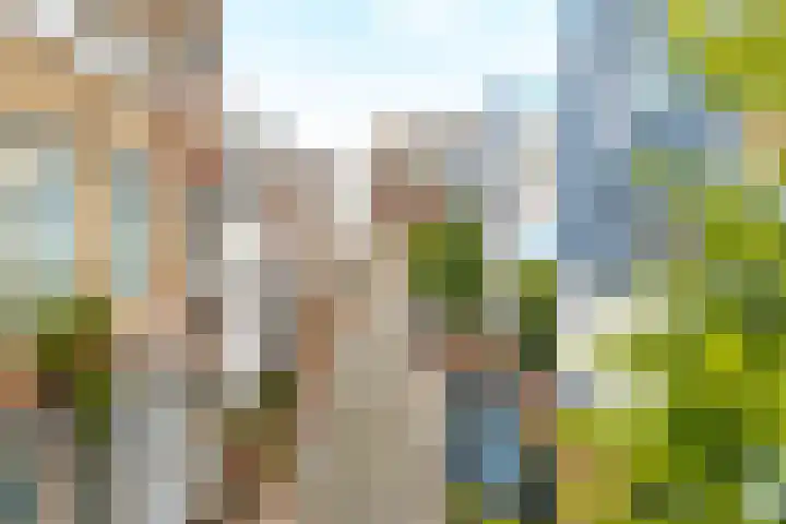 Molenstraat 77 Vlissingen thumbnail 5