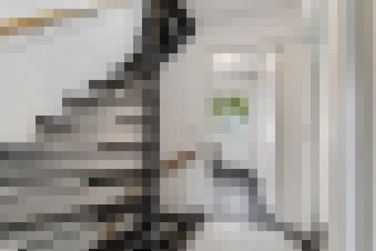 Molenstraat 77 Vught thumbnail 35