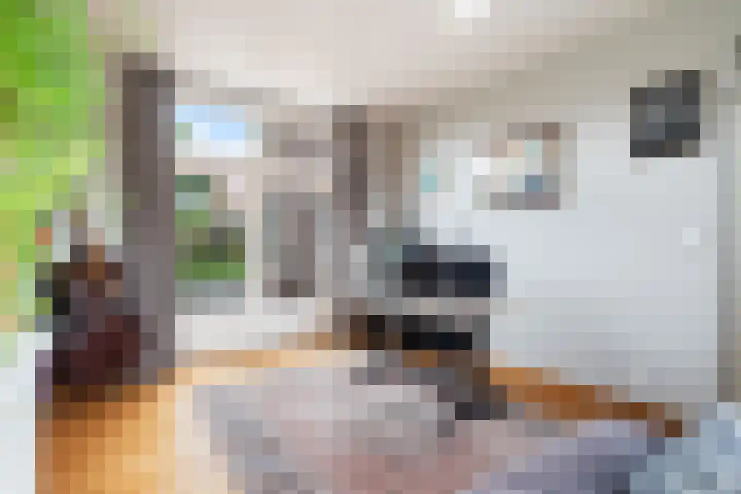 Molenstraat 78 Monster thumbnail 14
