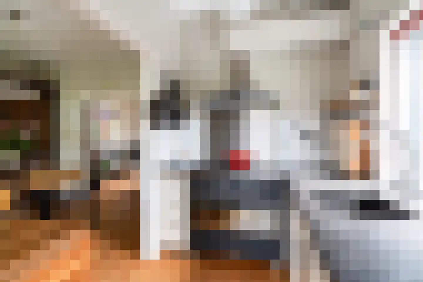 Molenstraat 78 Monster thumbnail 24