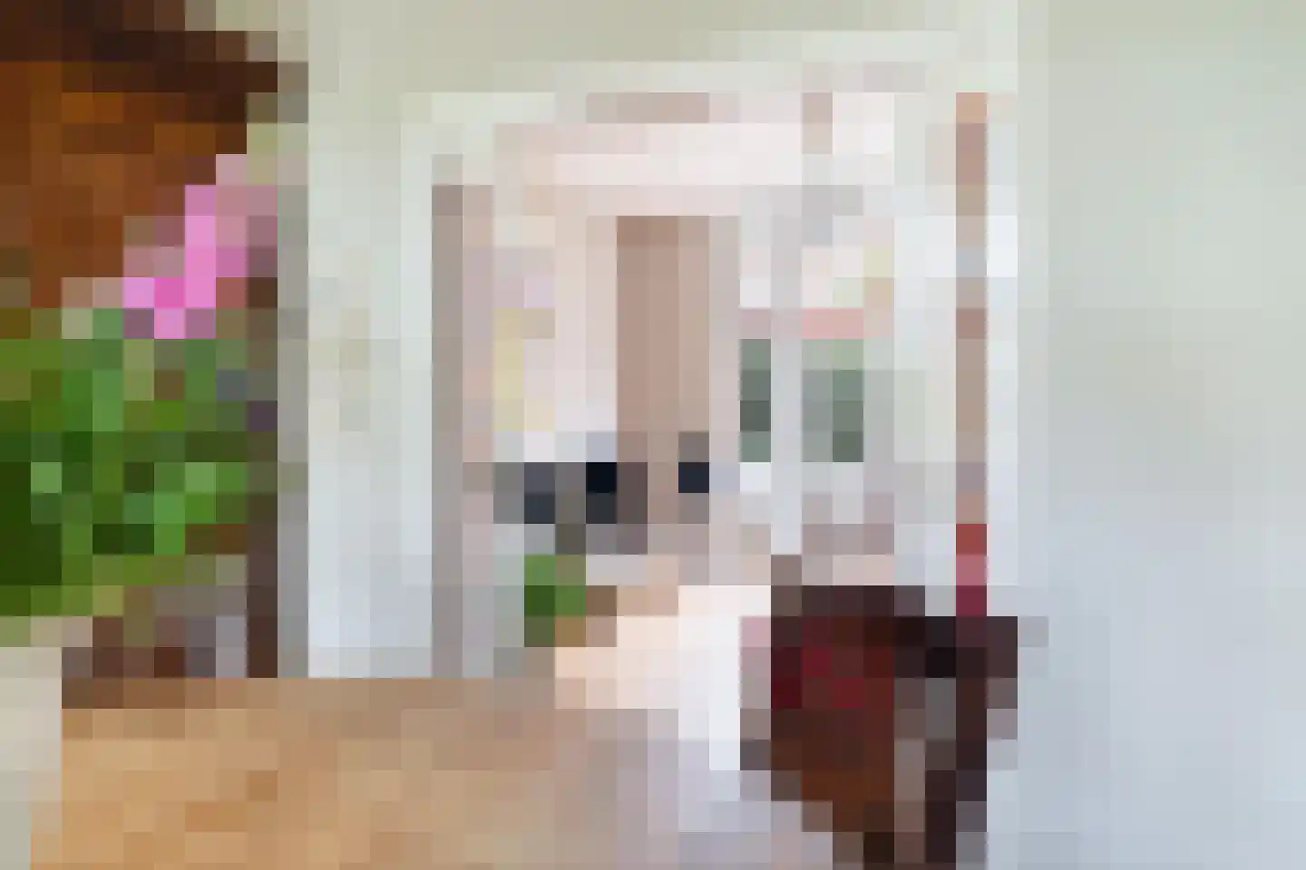 Molenstraat 78 Monster thumbnail 26