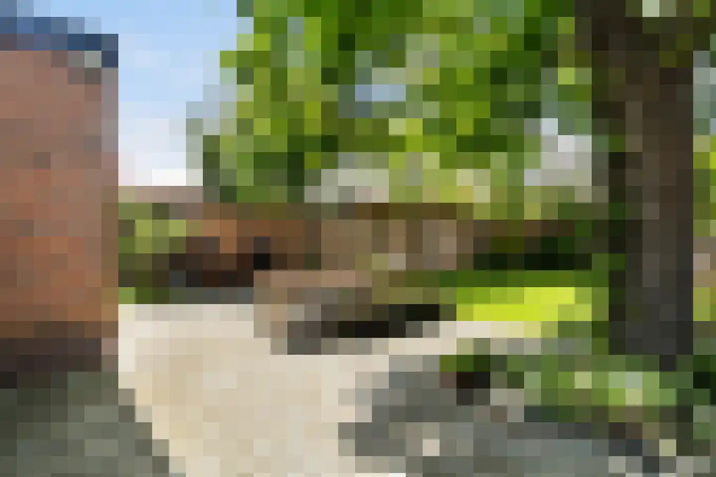 Molenstraat 78 Monster thumbnail 34