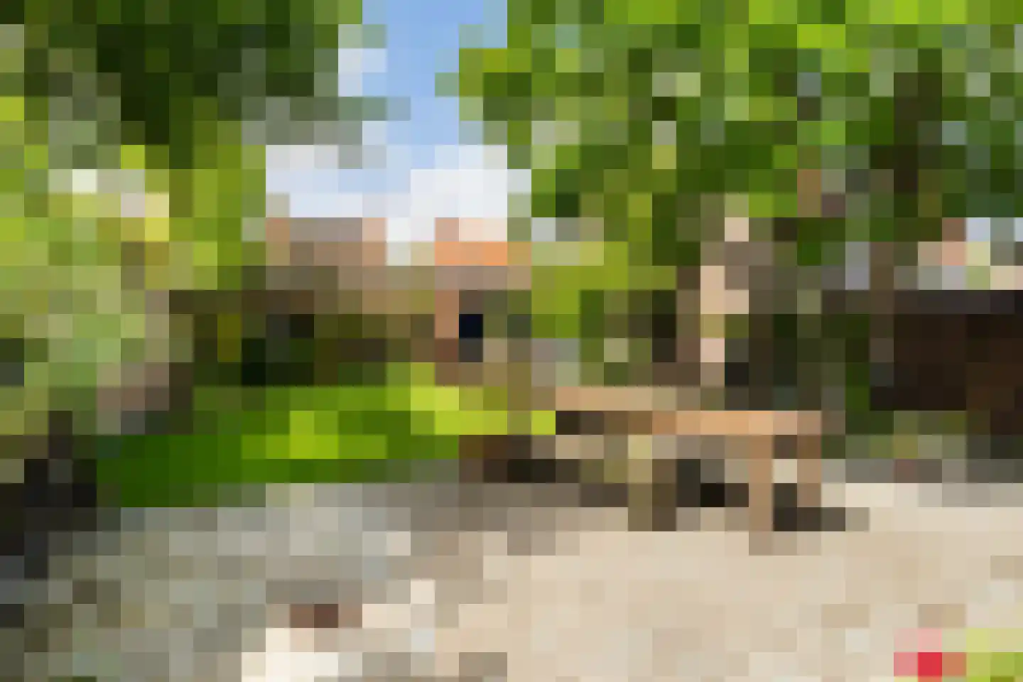 Molenstraat 78 Monster thumbnail 35