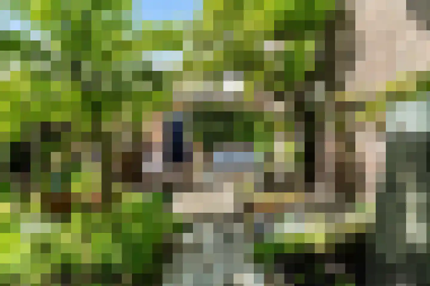Molenstraat 78 Monster thumbnail 37