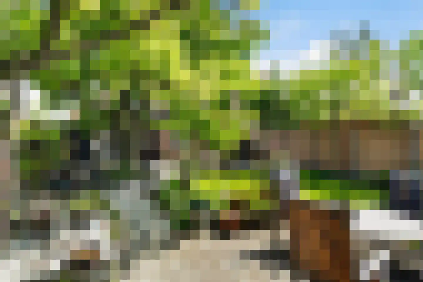 Molenstraat 78 Monster thumbnail 39