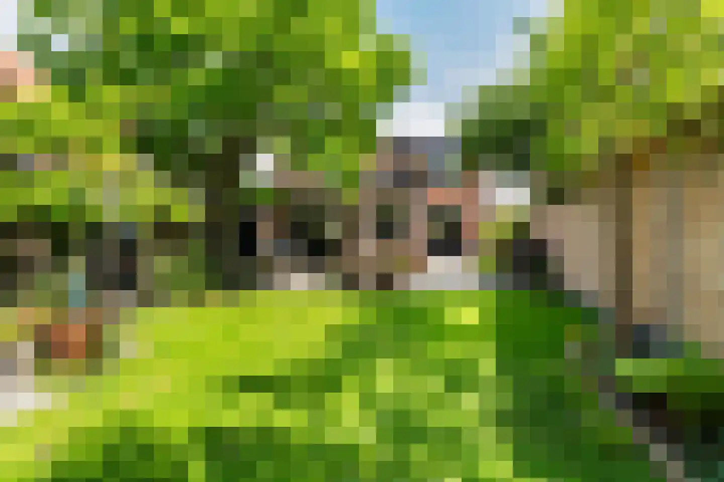 Molenstraat 78 Monster thumbnail 4