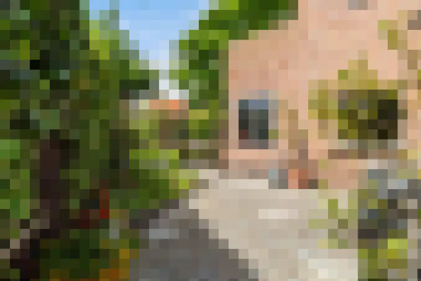 Molenstraat 78 Monster thumbnail 44
