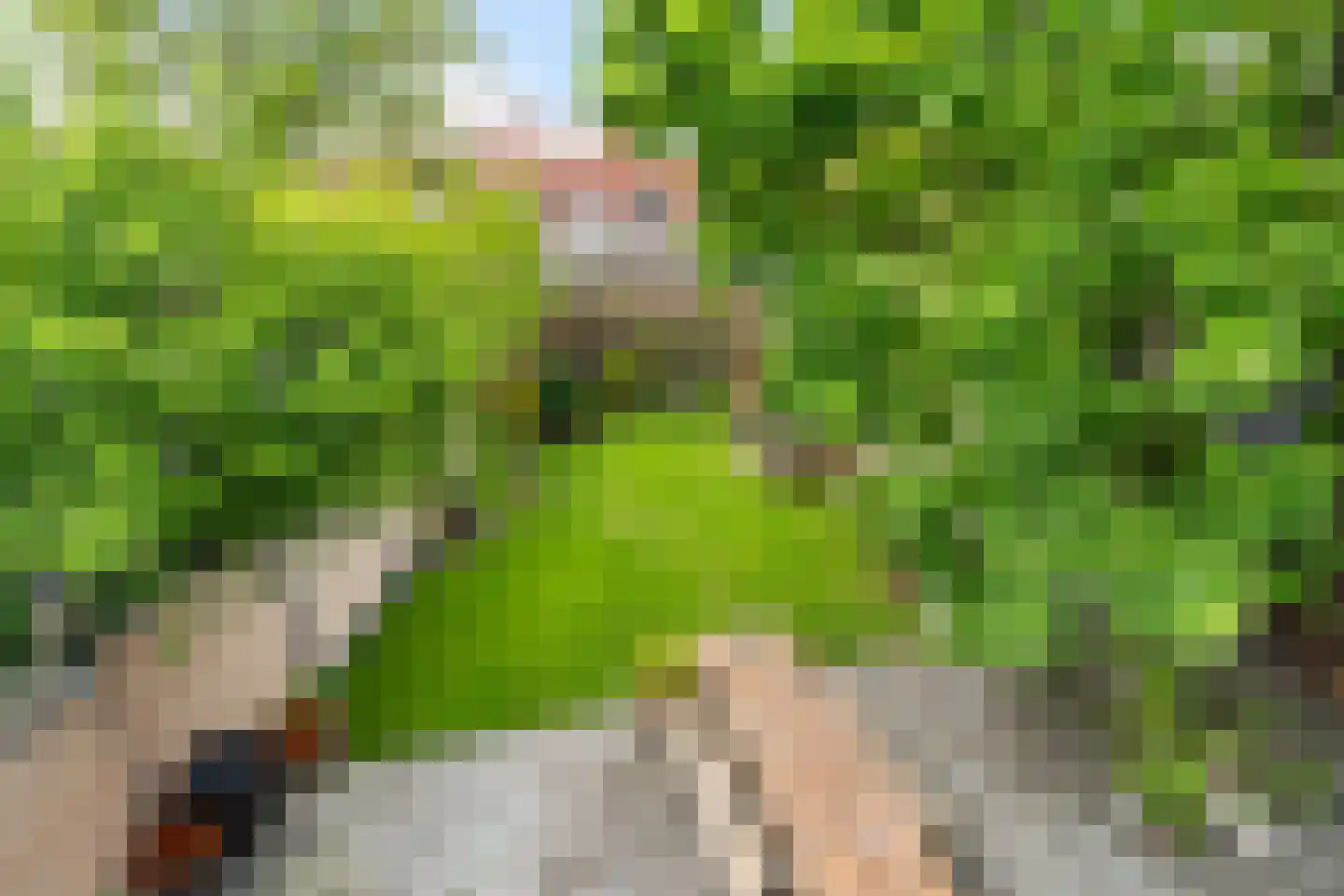 Molenstraat 78 Monster thumbnail 45