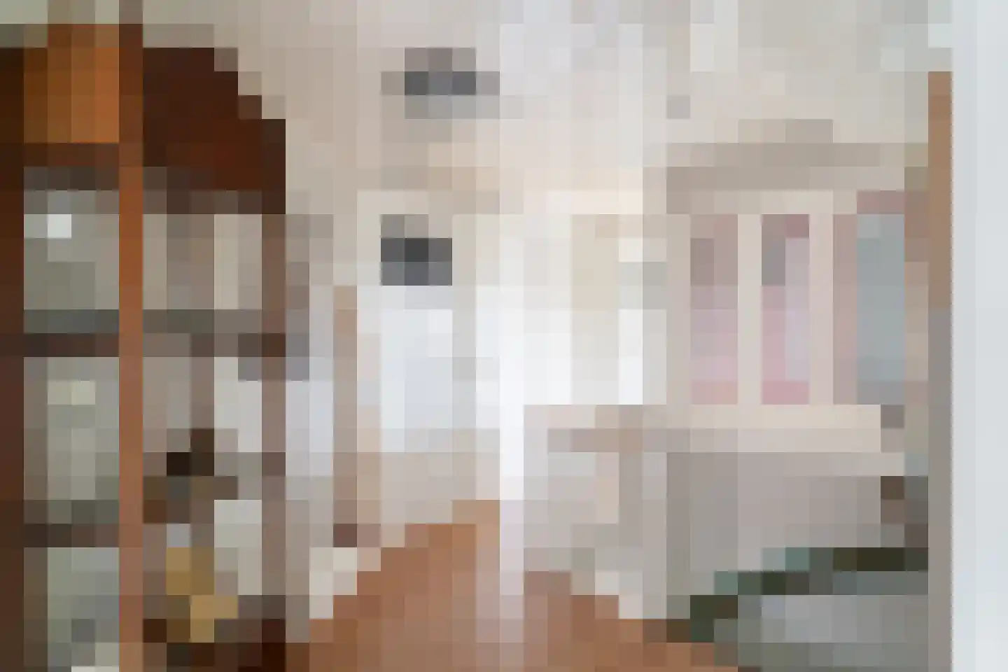 Molenstraat 78 Monster thumbnail 58