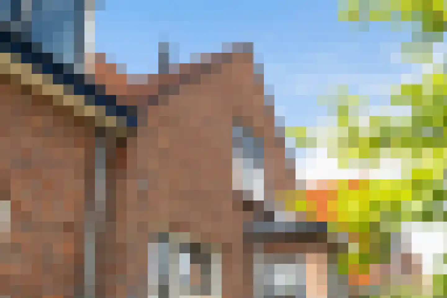 Molenstraat 78 Monster thumbnail 71