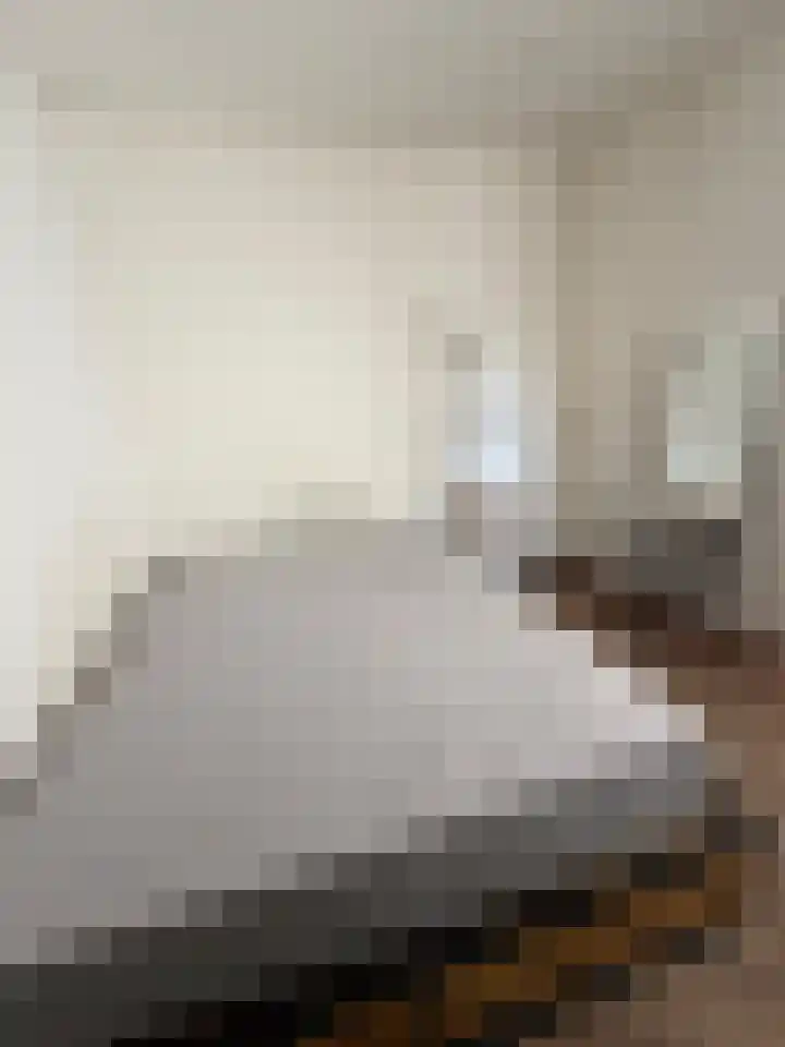 Molenstraat 79 1 Tilburg thumbnail 5