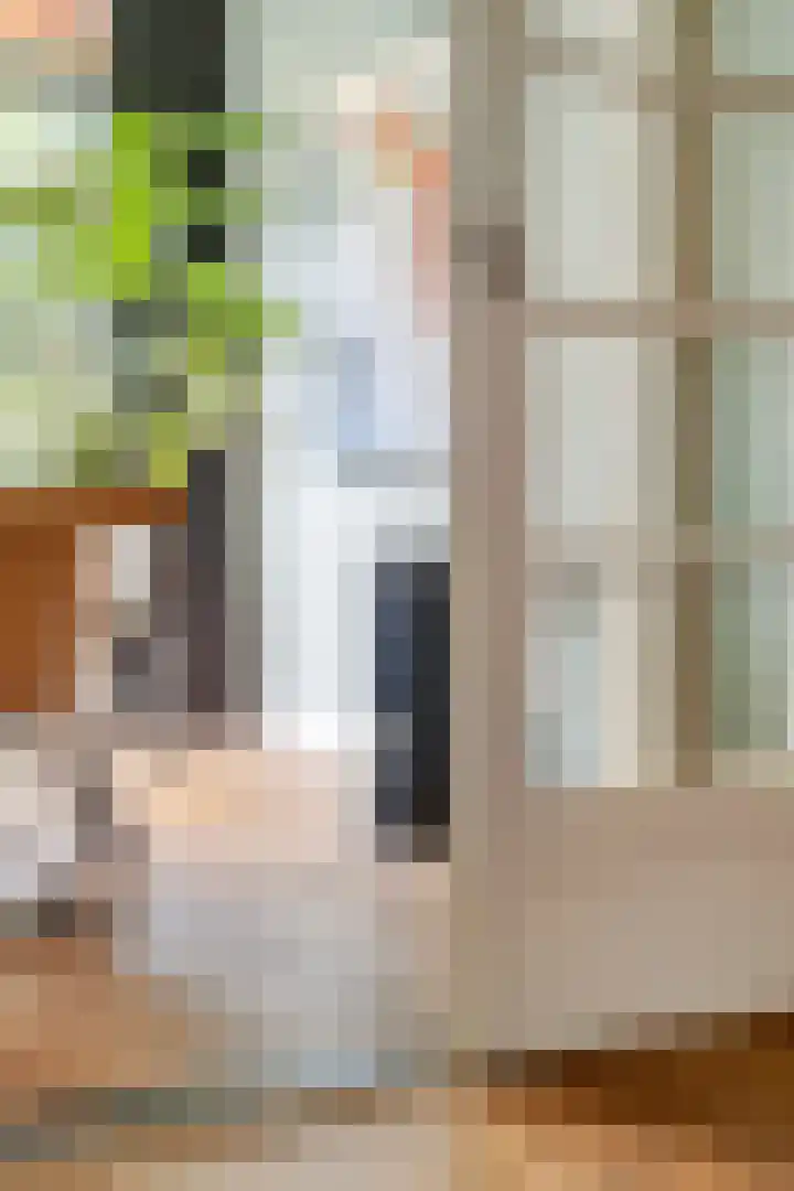 Molenstraat 79 Oss thumbnail 19