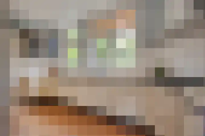 Molenstraat 79 Oss thumbnail 21