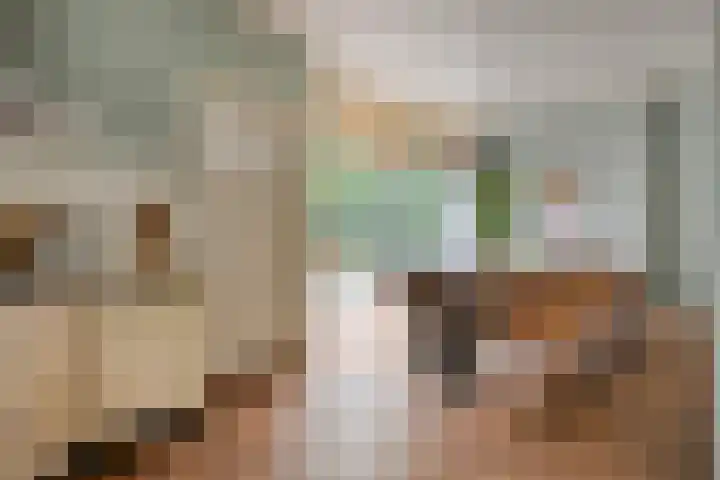 Molenstraat 79 Oss thumbnail 22
