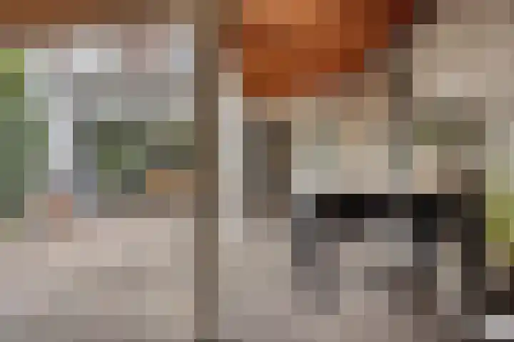 Molenstraat 79 Oss thumbnail 23
