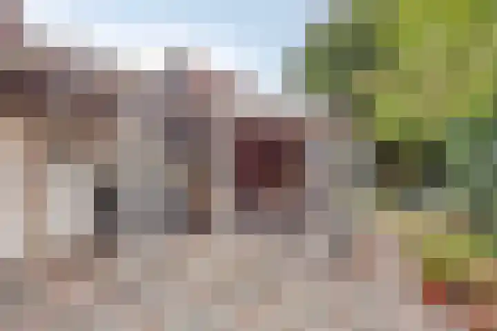 Molenstraat 79 Oss thumbnail 26