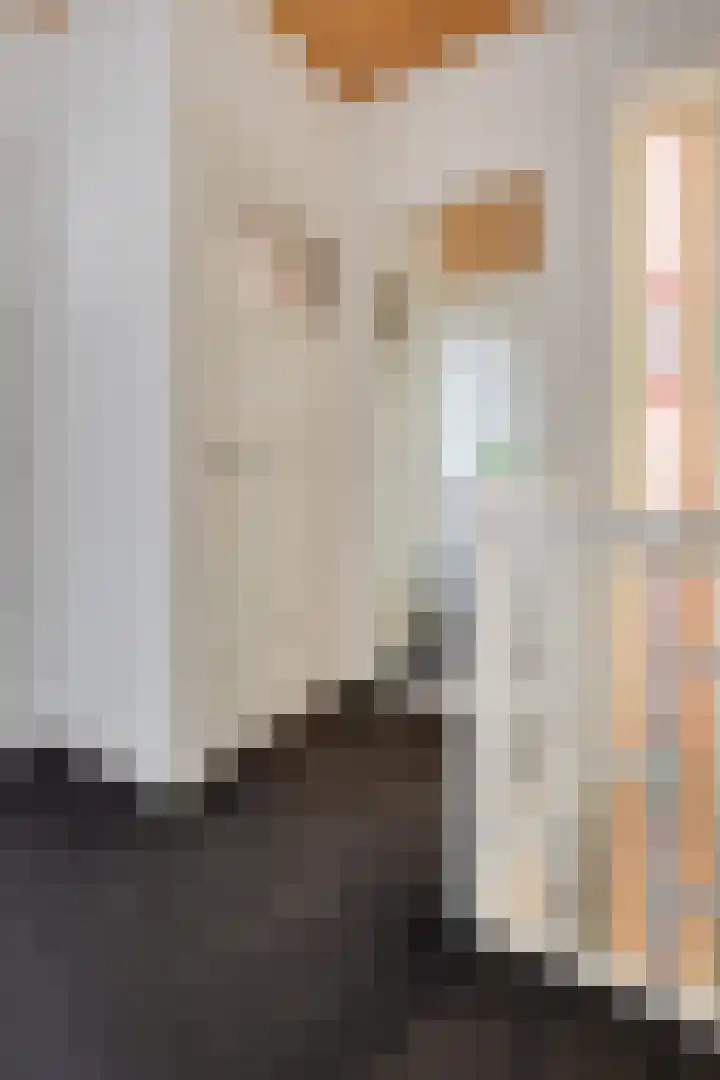 Molenstraat 79 Oss thumbnail 47