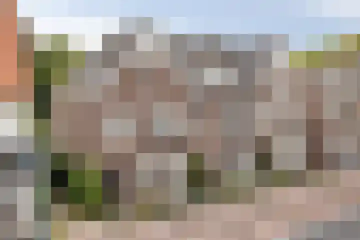 Molenstraat 79 Oss thumbnail 5