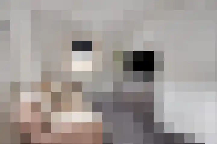 Molenstraat 79 Oss thumbnail 52
