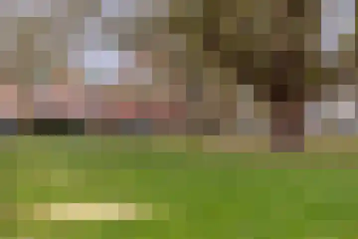 Molenstraat 79 Oss thumbnail 62
