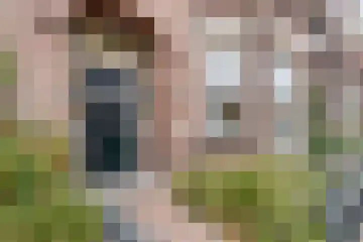Molenstraat 79 Oss thumbnail 7