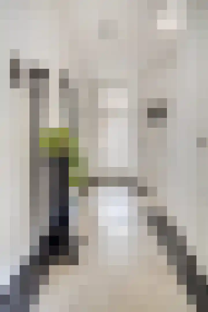 Molenstraat 79 Oss thumbnail 8