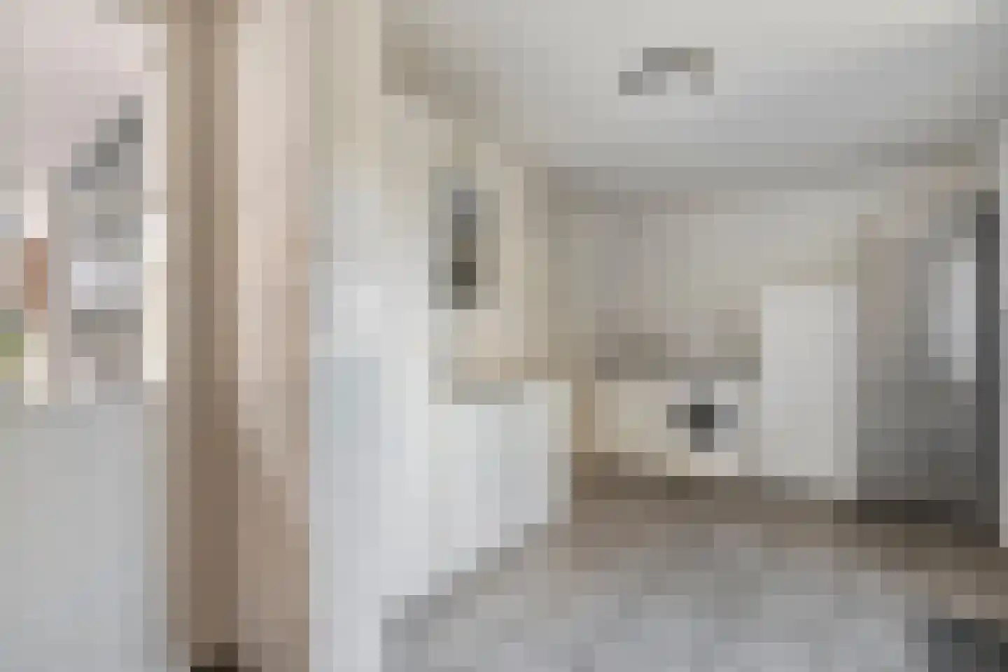 Molenstraat 79 Tubbergen thumbnail 10