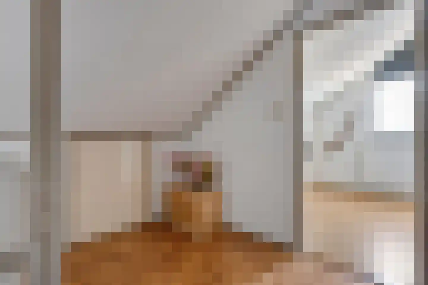 Molenstraat 79 Tubbergen thumbnail 17