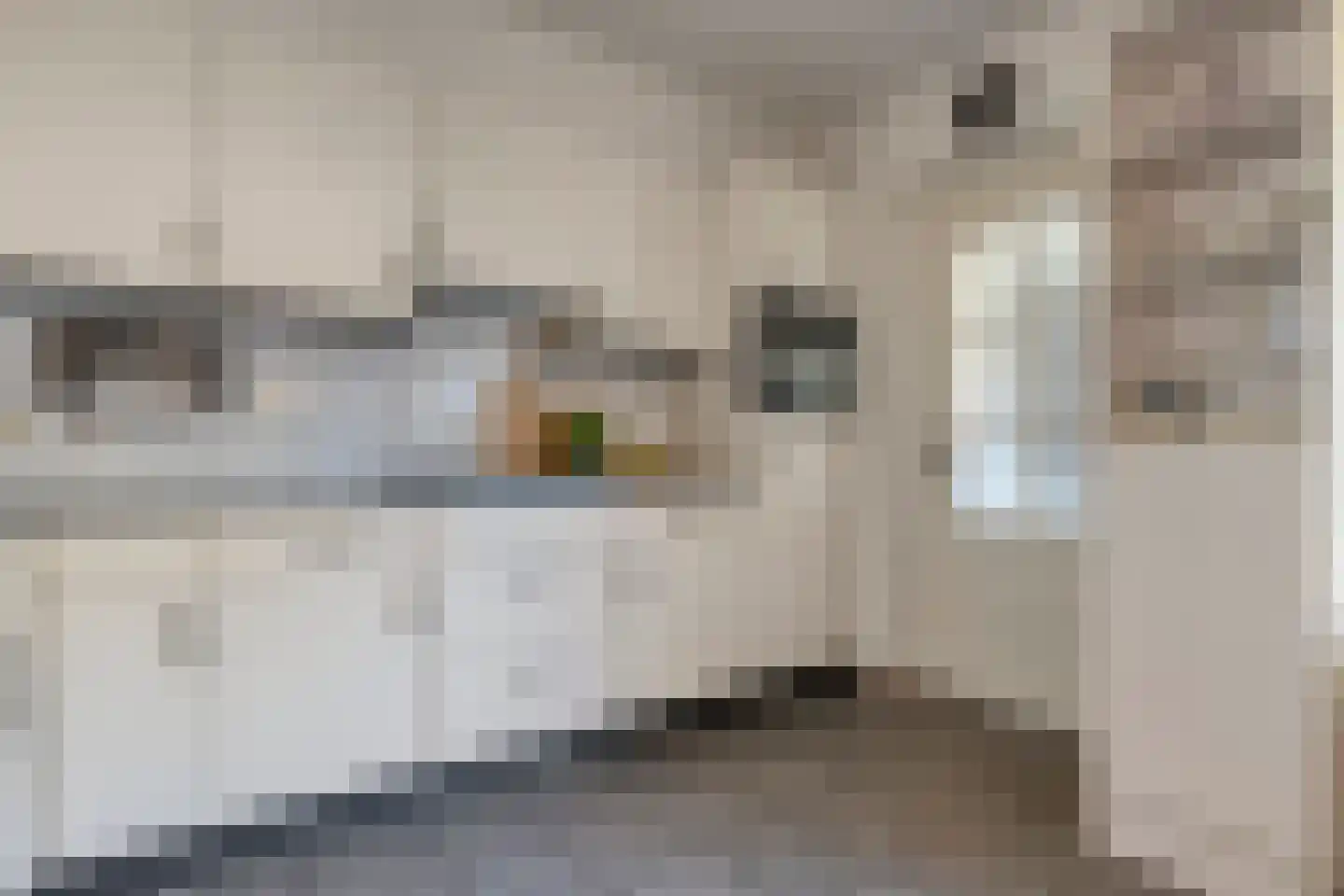 Molenstraat 79 Tubbergen thumbnail 8