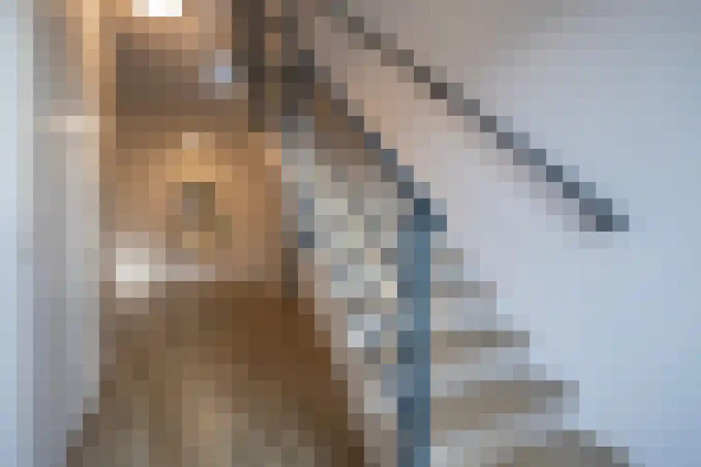 Molenstraat 8 5 Renswoude thumbnail 7