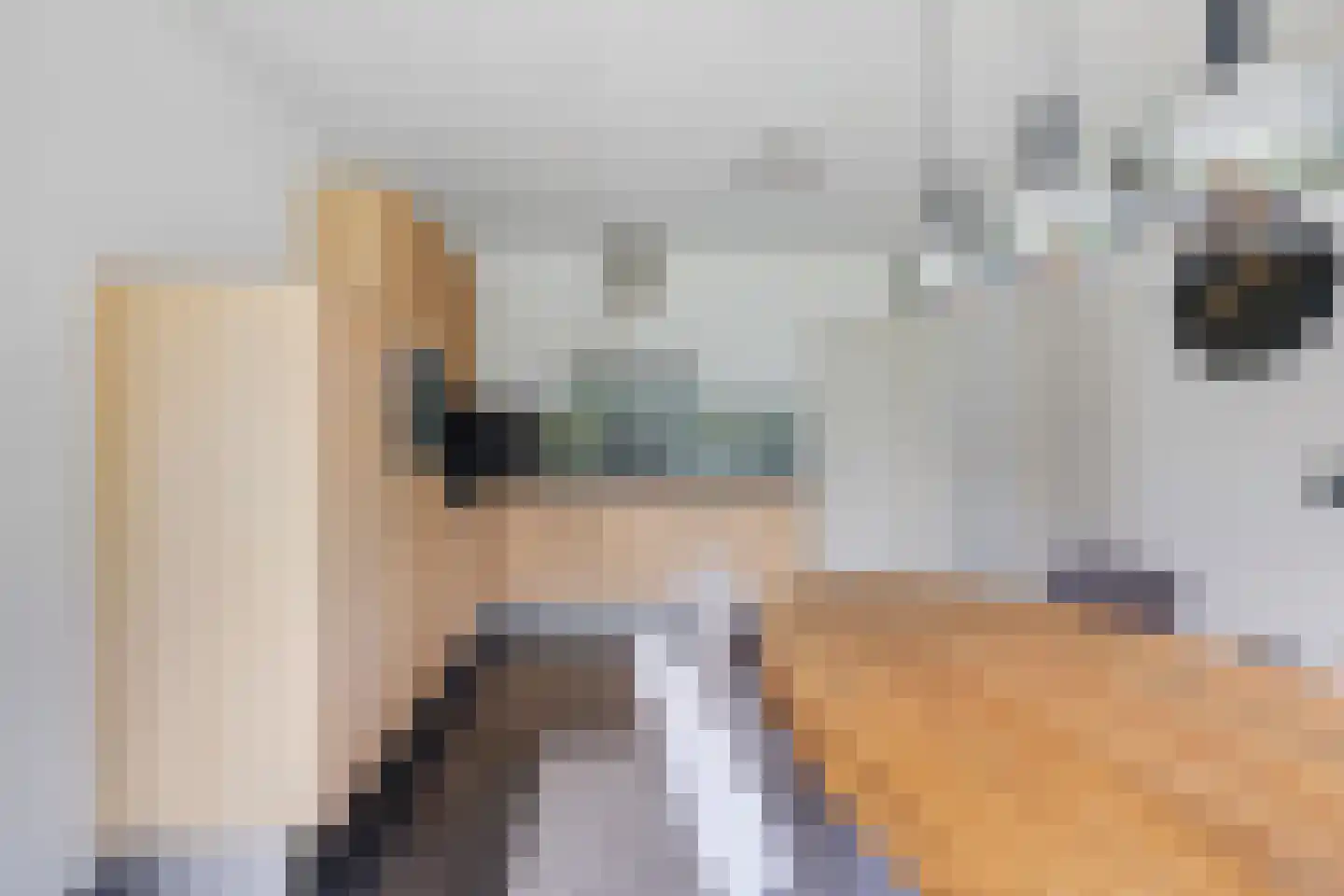 Molenstraat 8 a Boekel thumbnail 10
